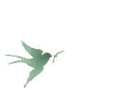 花開憶清明，傳承潤童心——海口市山高幼兒園2025年清明節(jié)主題活動-圖片75