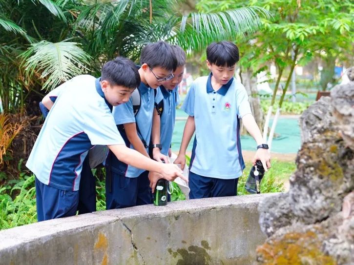 耕讀東坡韻，探海少年行——海口市龍華區(qū)山高實(shí)驗(yàn)學(xué)校七八年級(jí)文化傳承與科學(xué)探索研學(xué)之旅-圖片2