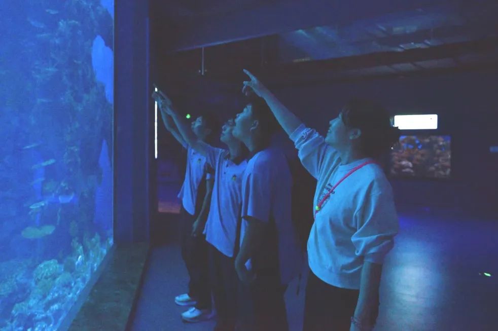 耕讀東坡韻，探海少年行——?？谑旋埲A區(qū)山高實(shí)驗(yàn)學(xué)校七八年級(jí)文化傳承與科學(xué)探索研學(xué)之旅-圖片4