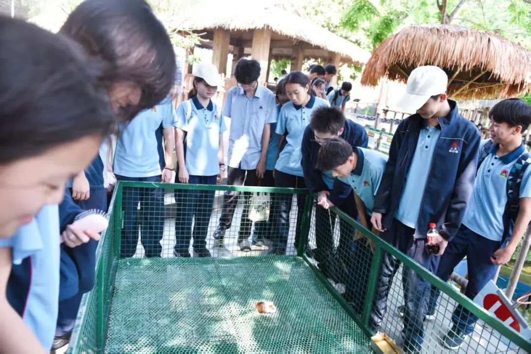 耕讀東坡韻，探海少年行——?？谑旋埲A區(qū)山高實(shí)驗(yàn)學(xué)校七八年級(jí)文化傳承與科學(xué)探索研學(xué)之旅-圖片4