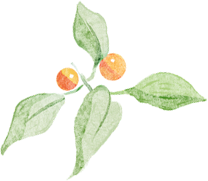 醫(yī)育融合·共筑健康成長路——?？谑猩礁哂變簣@聯(lián)合?？谑械谒娜嗣襻t(yī)院開展醫(yī)育融合健康講座-圖片4