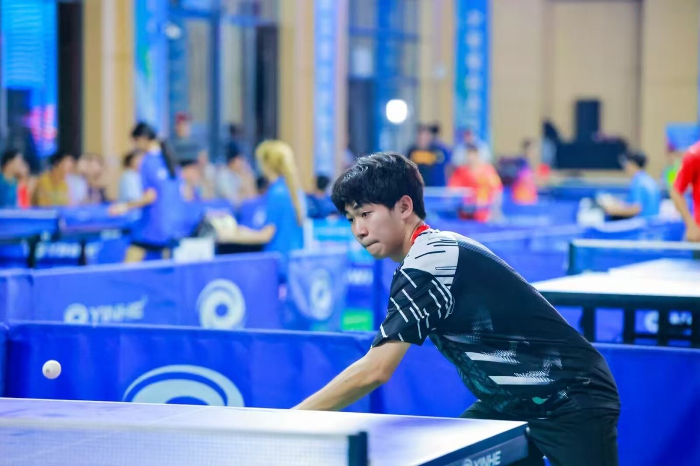 喜報 | 熱血揮拍，我校乒乓球隊在市“青椰”體育節(jié)比賽中勇創(chuàng)佳績-圖片3