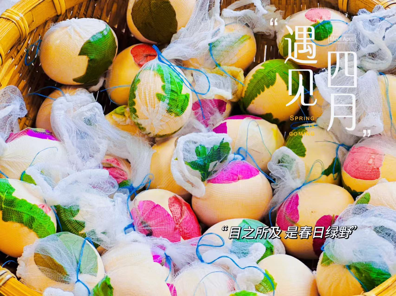 花開憶清明，傳承潤童心——海口市山高幼兒園2025年清明節(jié)主題活動-圖片57