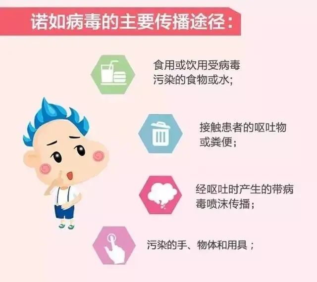 預防諾如病毒，筑牢校園防線——?？谑猩礁哂變簣@開展“預防諾如病毒”專項系列行動-圖片45