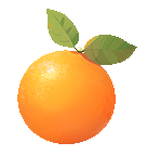 “食”刻預(yù)防，安全相伴——?？谑猩礁哂變簣@食物中毒應(yīng)急處置演練活動-圖片2