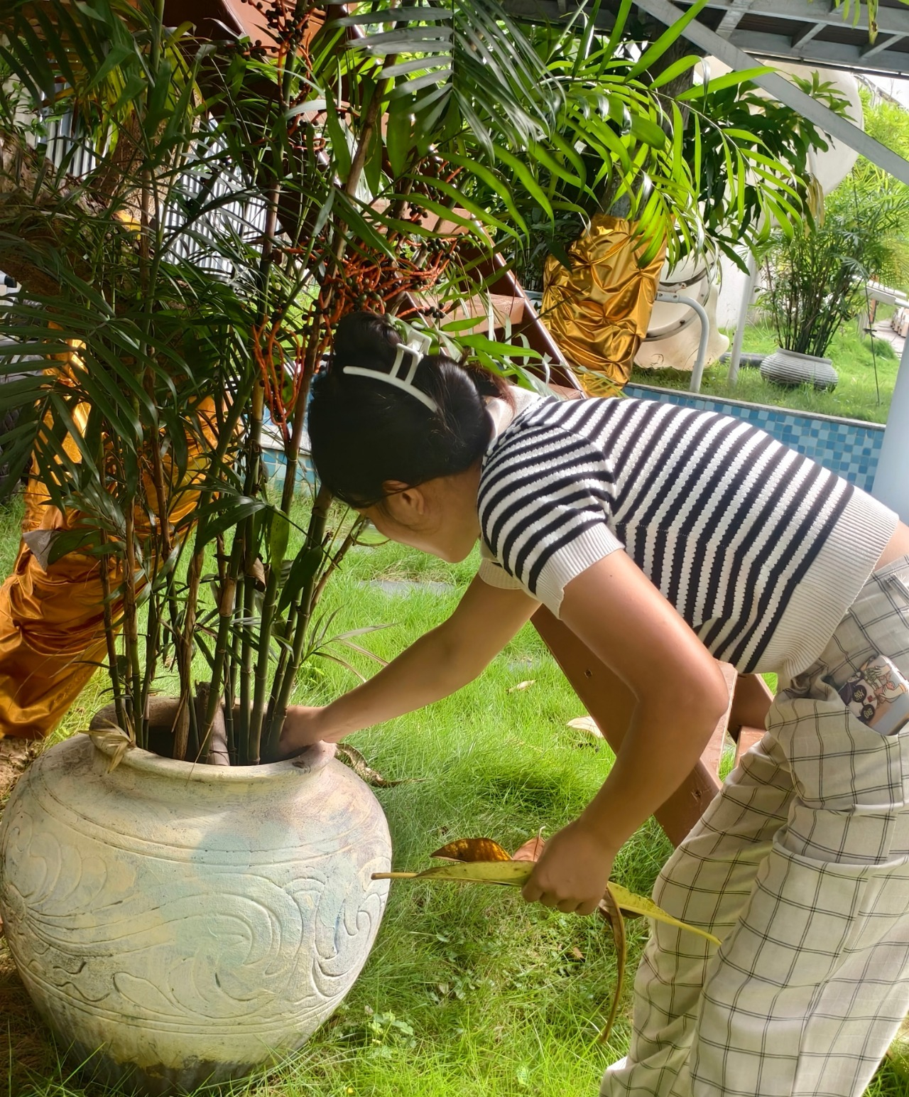 遠離登革熱，我們在行動！——?？谑猩礁哂變簣@開展預(yù)防登革熱愛國衛(wèi)生運動行動-圖片29