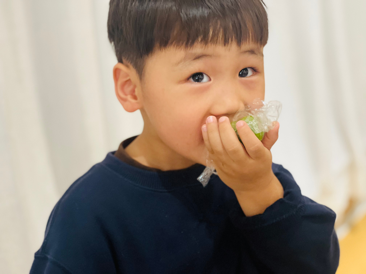 花開憶清明，傳承潤童心——?？谑猩礁哂變簣@2025年清明節(jié)主題活動-圖片79