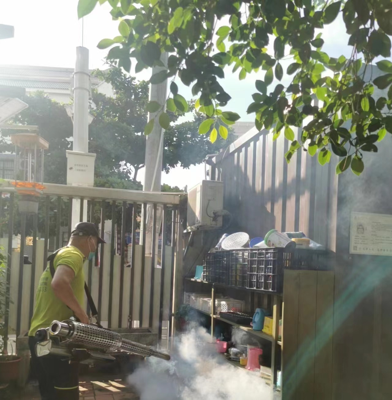 遠離登革熱，我們在行動！——?？谑猩礁哂變簣@開展預(yù)防登革熱愛國衛(wèi)生運動行動-圖片11