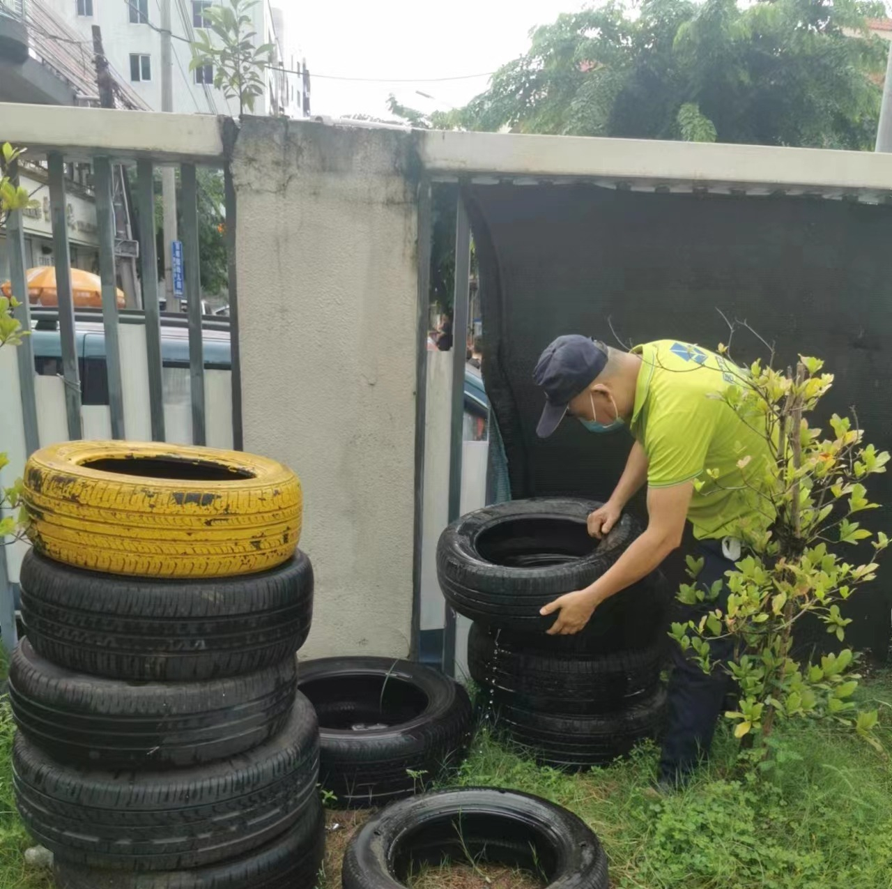遠離登革熱，我們在行動！——?？谑猩礁哂變簣@開展預(yù)防登革熱愛國衛(wèi)生運動行動-圖片20