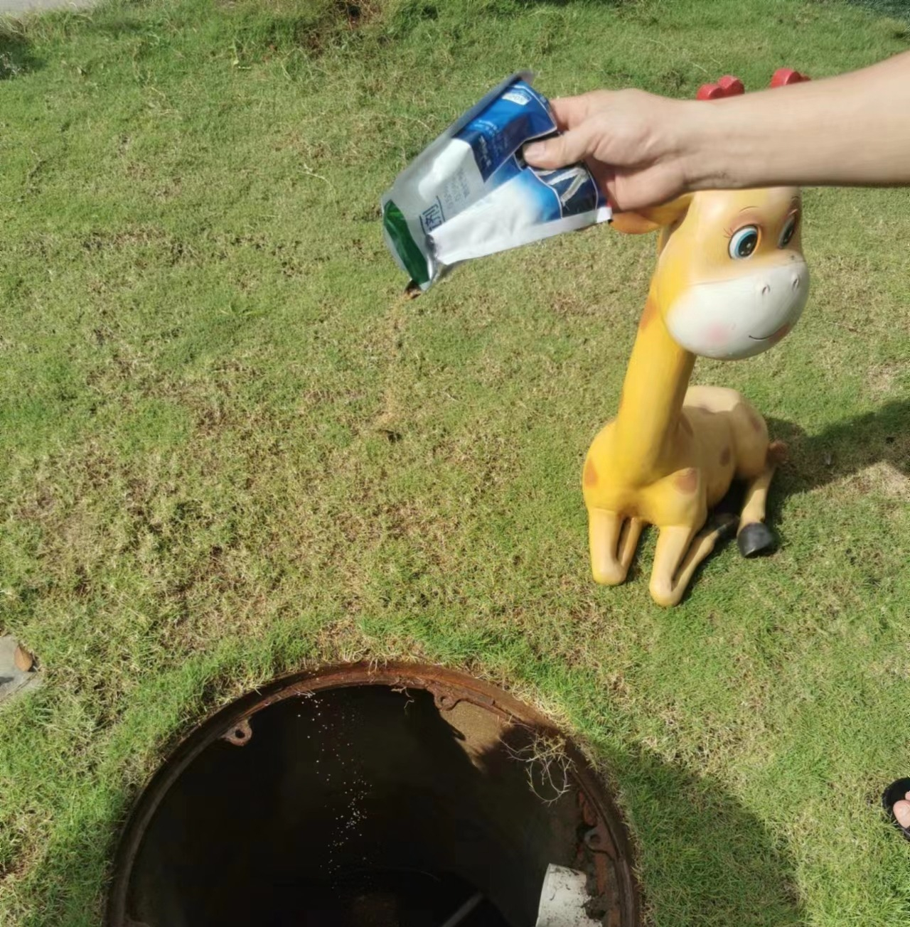 遠離登革熱，我們在行動！——?？谑猩礁哂變簣@開展預(yù)防登革熱愛國衛(wèi)生運動行動-圖片18