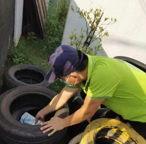 遠離登革熱，我們在行動！——?？谑猩礁哂變簣@開展預(yù)防登革熱愛國衛(wèi)生運動行動-圖片16