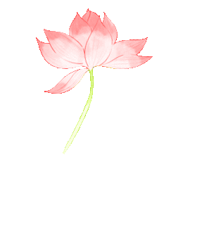 尋味端午 ，“粽”享六一——海口市山高幼兒園“迎端午，慶六一”雙節(jié)活動-圖片2