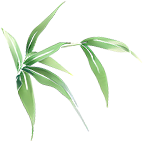 尋味端午 ，“粽”享六一——海口市山高幼兒園“迎端午，慶六一”雙節(jié)活動-圖片76