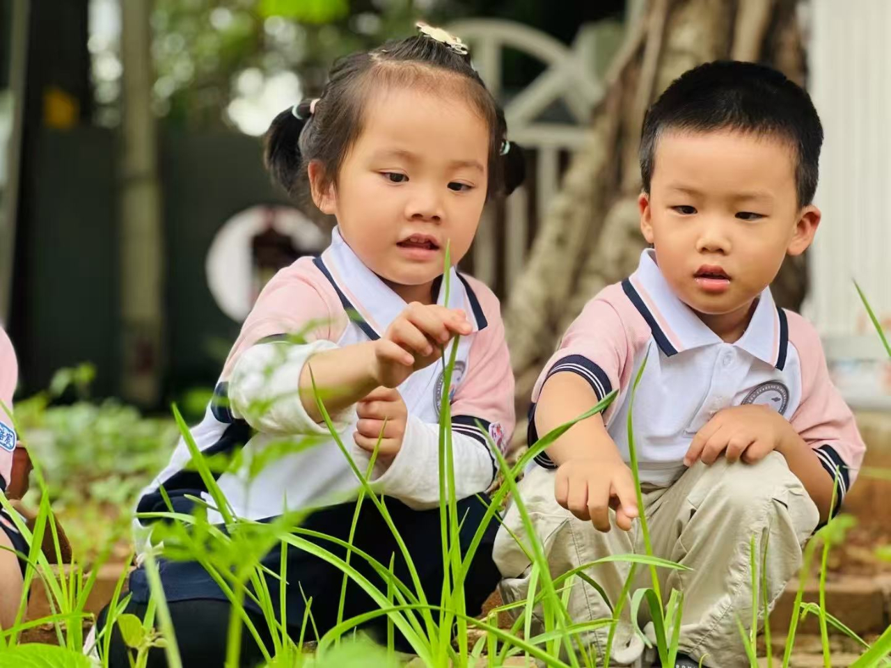 學(xué)前有法 善育有規(guī)——?？谑猩礁哂變簣@2025年學(xué)前教育宣傳月啟動儀式暨《學(xué)前教育法》專題學(xué)習(xí)活動-圖片28