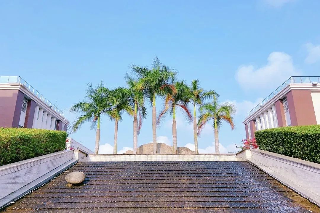 悅伴成長(zhǎng)  家長(zhǎng)學(xué)堂  |  ?？谏礁咧袑W(xué)優(yōu)秀家長(zhǎng)育子心得分享（第51期）-圖片4