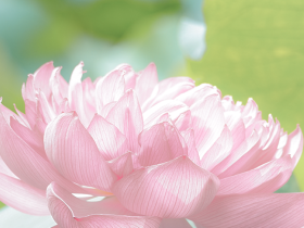 成長(zhǎng)在山高，不負(fù)好時(shí)光‖?？谏礁咧袑W(xué)學(xué)生優(yōu)秀習(xí)作展示（第二十四期）