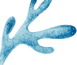 德育之窗丨?？谏礁邔W校2025年秋師德師風暨班主任培訓順利開展