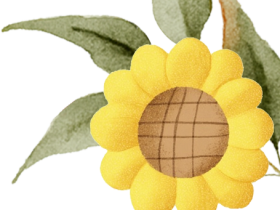 超燃！?？谏礁邔W校各年級常規(guī)訓練“名場面”來襲！