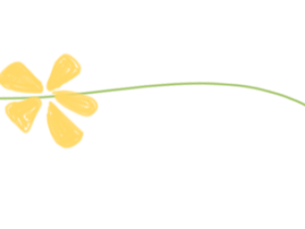 小小路隊長 擔當大責任——?？谏礁邔W校2025年秋季路隊長專題培訓 !