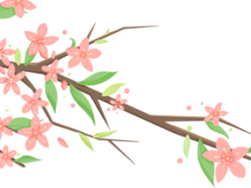 美育賦能，融創(chuàng)未來(lái)|“國(guó)培計(jì)劃（2025）”美術(shù)骨干教師與山高學(xué)校的一場(chǎng)溫暖邂逅