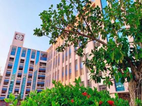 “算”出精彩，“數(shù)”你最棒——?？谏礁邔W校數(shù)學組口算大王比賽